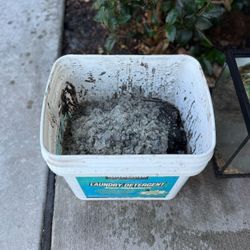 Free Substrate Sand from Fresh Water Aquarium