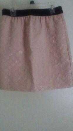 Ann Taylor Loft Pink Skirt size 2-nwt