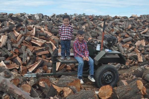 Dry Almond Firewood