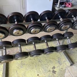 Home Gym Equipment | Bumper Plates | Dumbbells | Barbells | etc