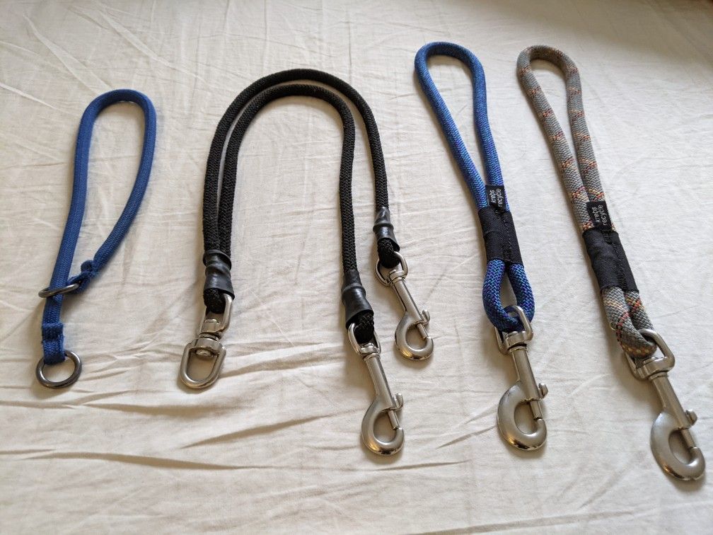 Assorted Dog Leashes and Attachments 