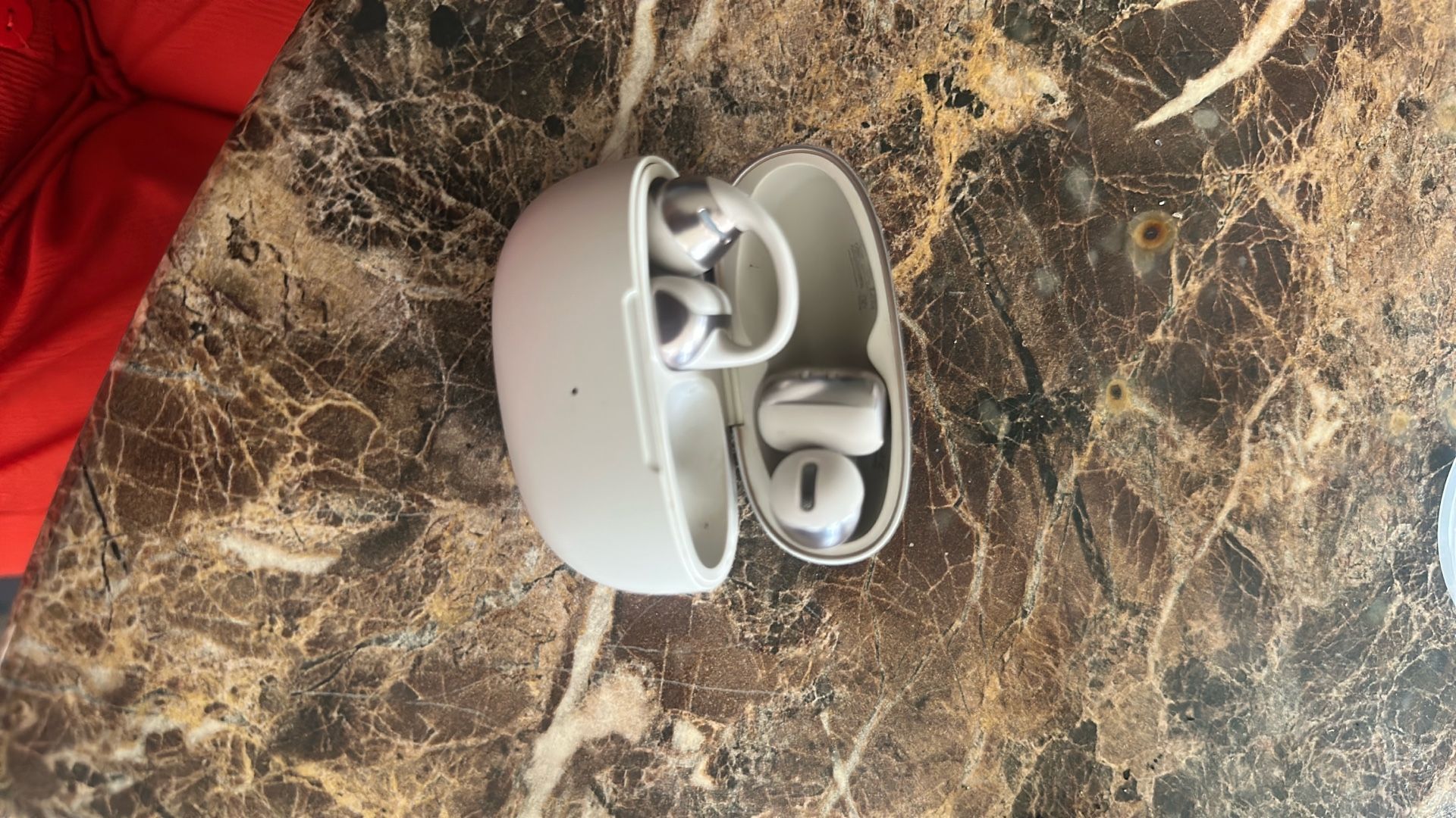 Shokz OpenDots ONE True Wireless Earbuds