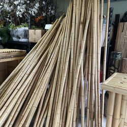 8 Foot x 2” Bamboo Poles