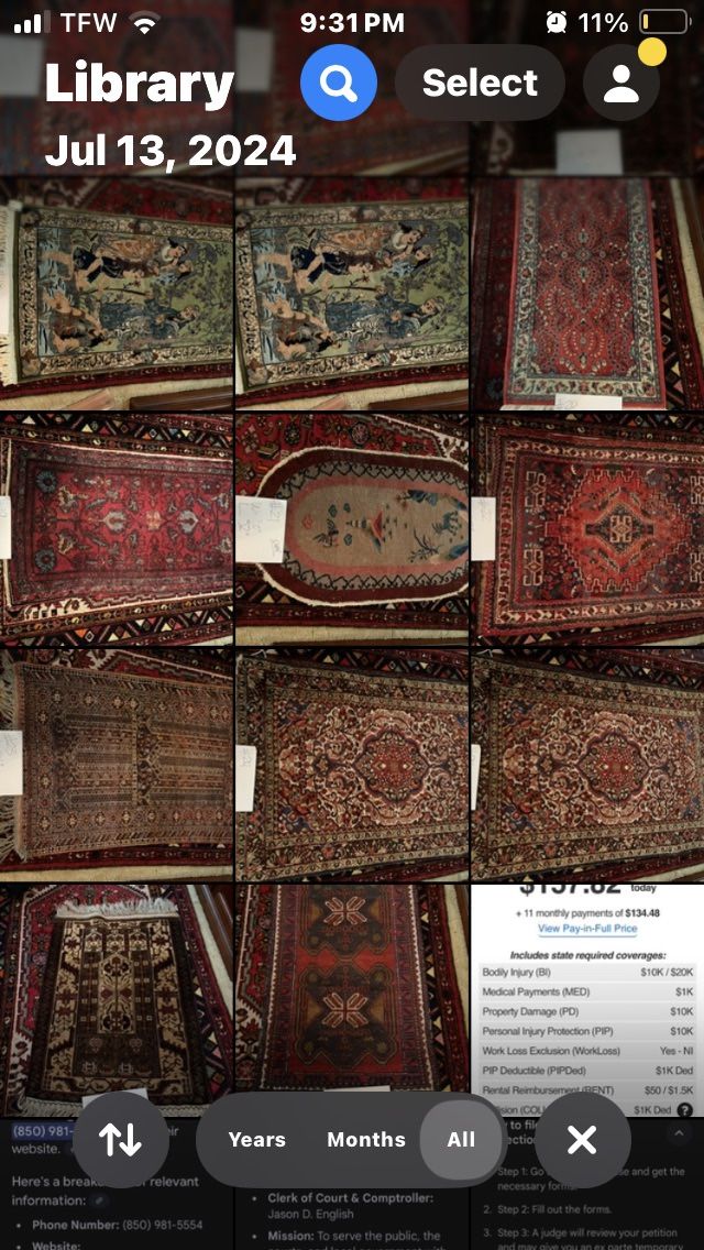 Authentic Persian Rugs