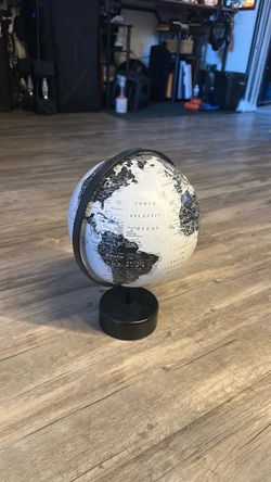 Black and White Decorative World Globe