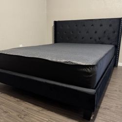 Timeless Frames Available Single Full King Queen Sizes Delivery Available!