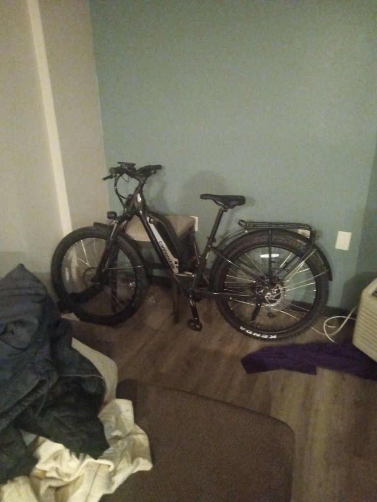 Cannondale Adventure Bike