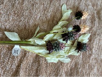 flower stems