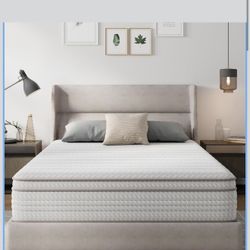 New Novilla 12 Inch Queen Size Mattress in a Box, Hypoallergenic & Back Pain Relief, Hybrid Queen Mattresses with Smarts Coils, Fiberglass Free CertiP