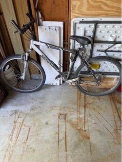 Schwinn Bike