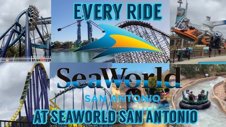 Seaworld And Other Festivities