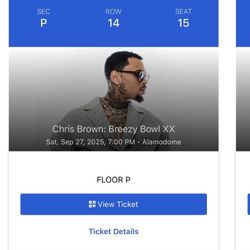 Selling 4x Chris Brown Brezzy Bowl XX Tickets 
