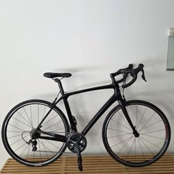 17.8 lb. All-Carbon Trek Domane SLR 6 Racing Bike 