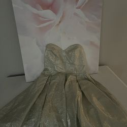 Size 4 Super Cute silver (but Could Be Called Gold Too- Takes On Both)dress 