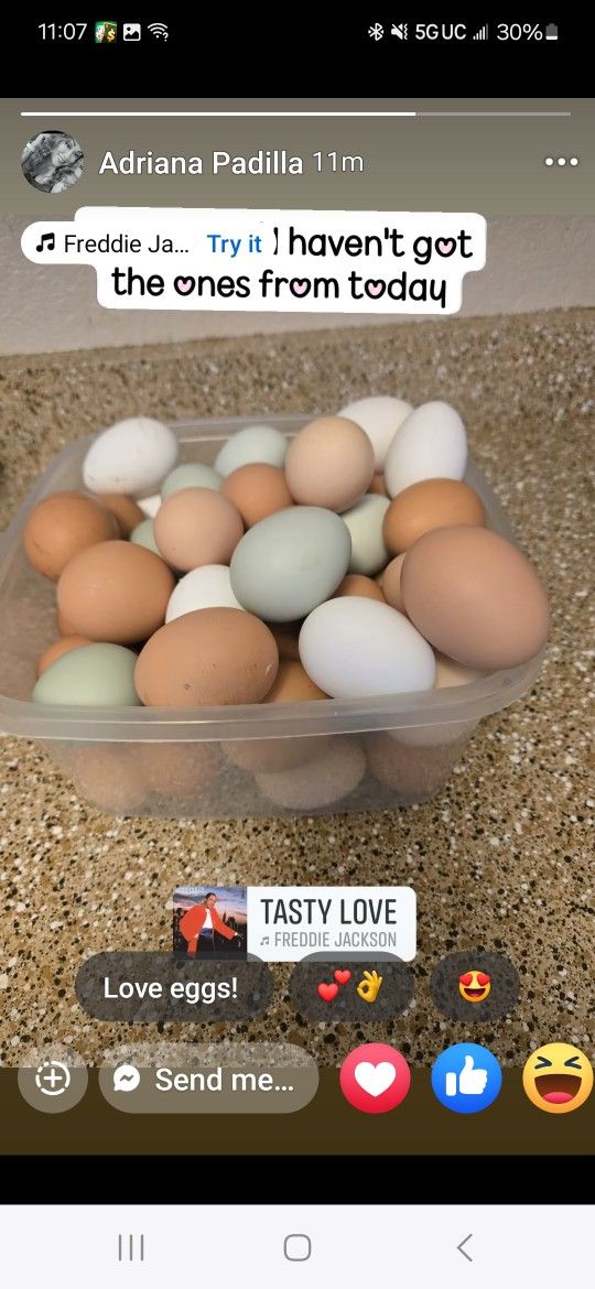 Fresh Eggs $8 Dozen
