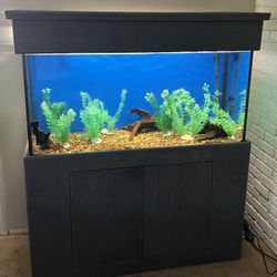 Fish Tank