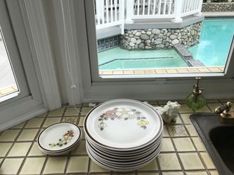 THE WOODHAVEN COLLECTION Sunnybrook Vintage plates