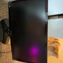 Samsung S22c300h 21.5" Widescreen Led Monitor S22c300 