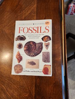 Eyewitness Handbook Fossils 