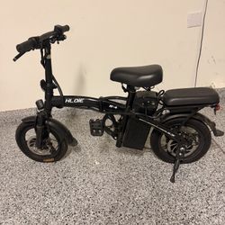 Electric Bike 