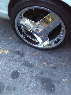 22 inch Gitano 650 must be gone asap
