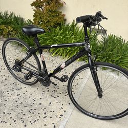 Liberty Pro Max Bike