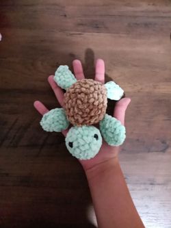 Iconic color turtle