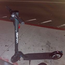 Gotrax Pro 
