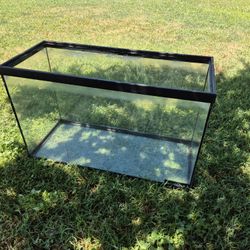 FREE Fish / Reptile Tank