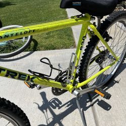 Trek Antelope Bike