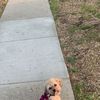 Lilly