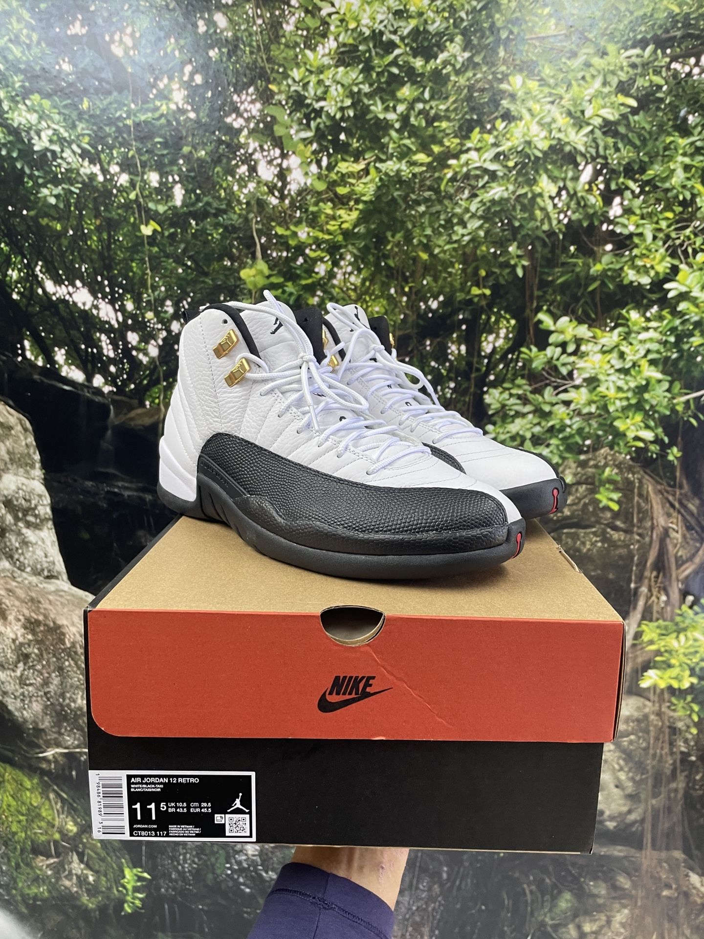 Jordan 12 Taxi