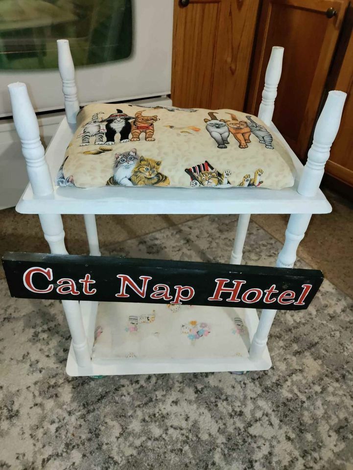 Cat Bunk beds! Made Of Wood! Cat Food Cans For Feet.