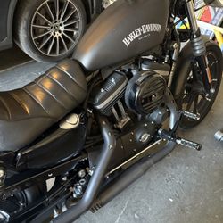 2021 Harley Davidson Iron-883