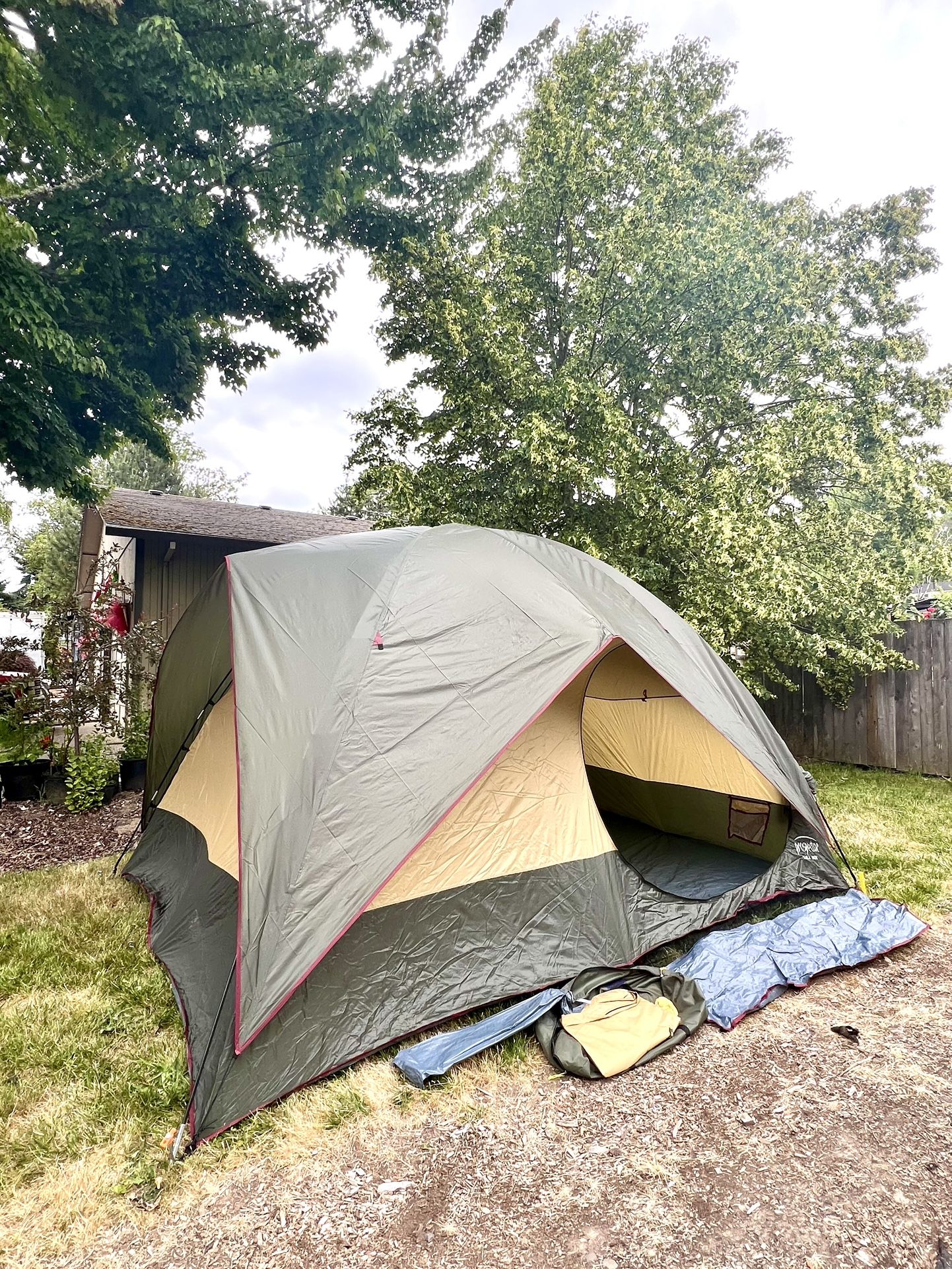 TALL BOY 6 - 8 Person 2 Room Family Tent ⛺️