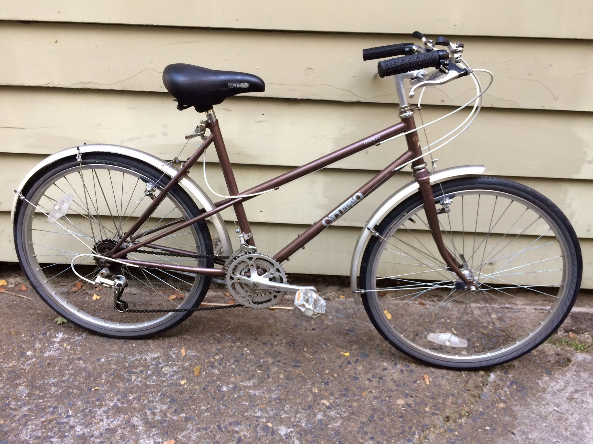 Cyclepro Oswego cruiser