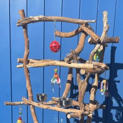 Monster Macaw Perch Tree - All Custom Ribbon Wood, Lasts For Years!! 🪵👍🏼