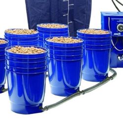 Hydroponic System