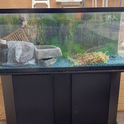 Large fish tank 