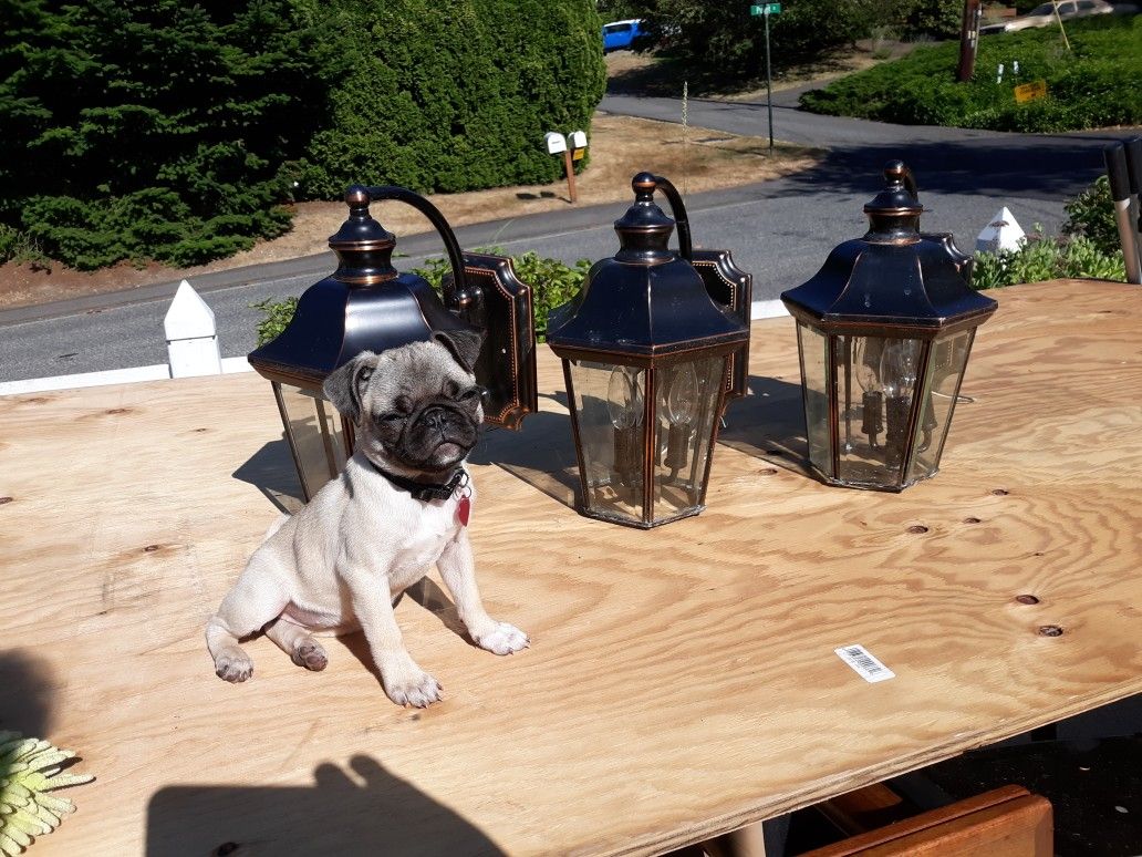 Bronze Finish House Yard Wall Lights Sconce Sconces