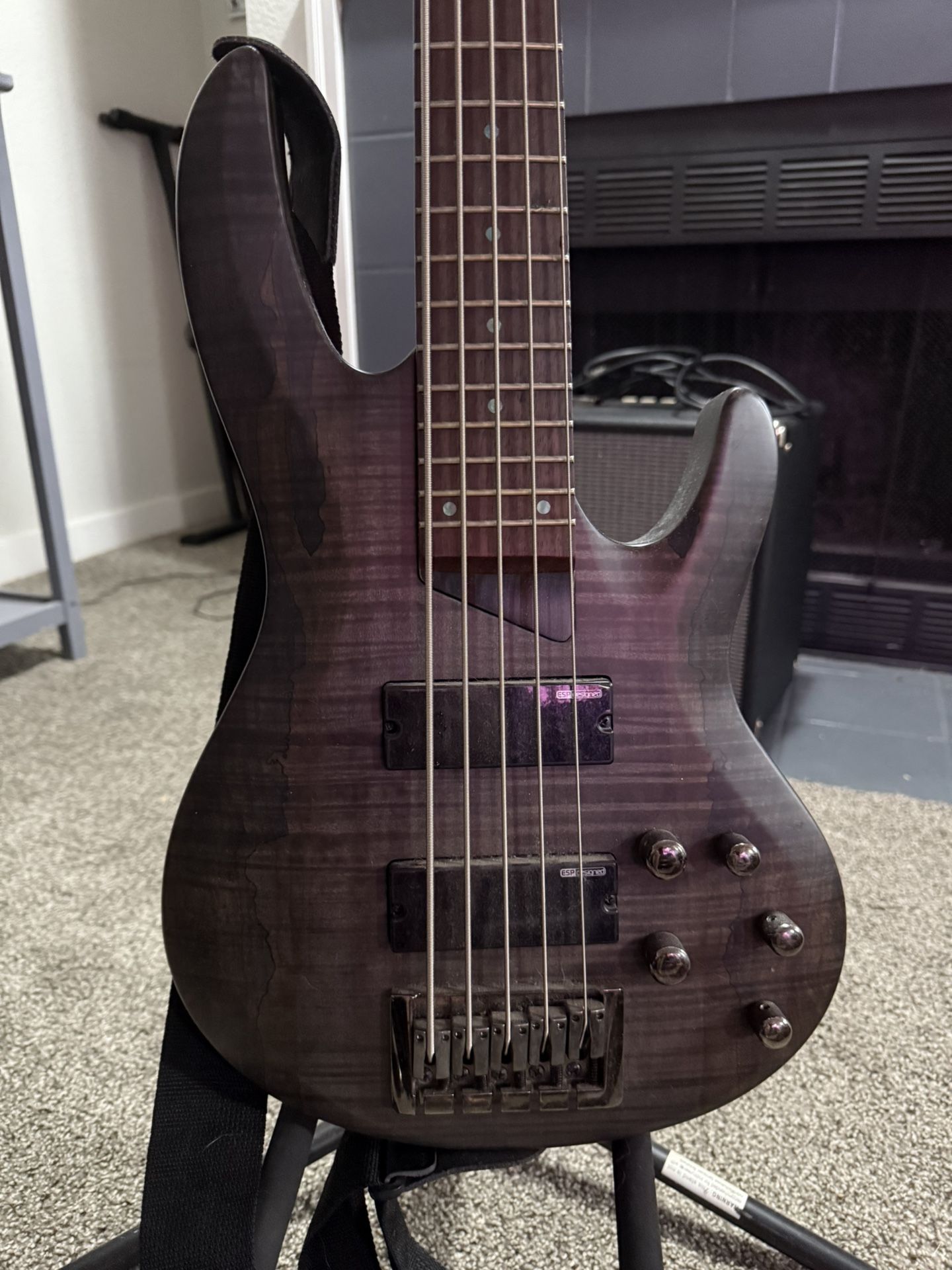 ESP Bass Guitar 