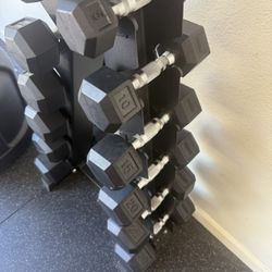 Dumbbells & Rack 