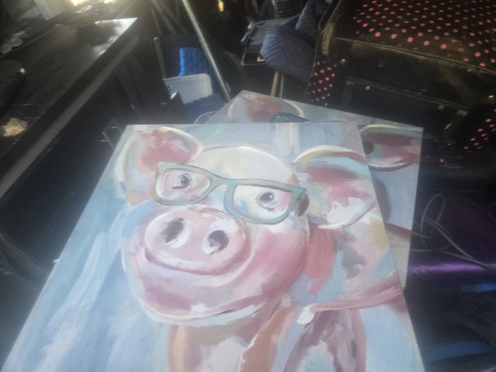 Pig Pictures 