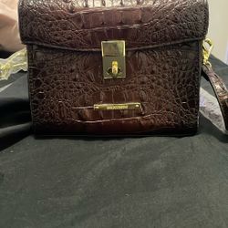 Brahmin 