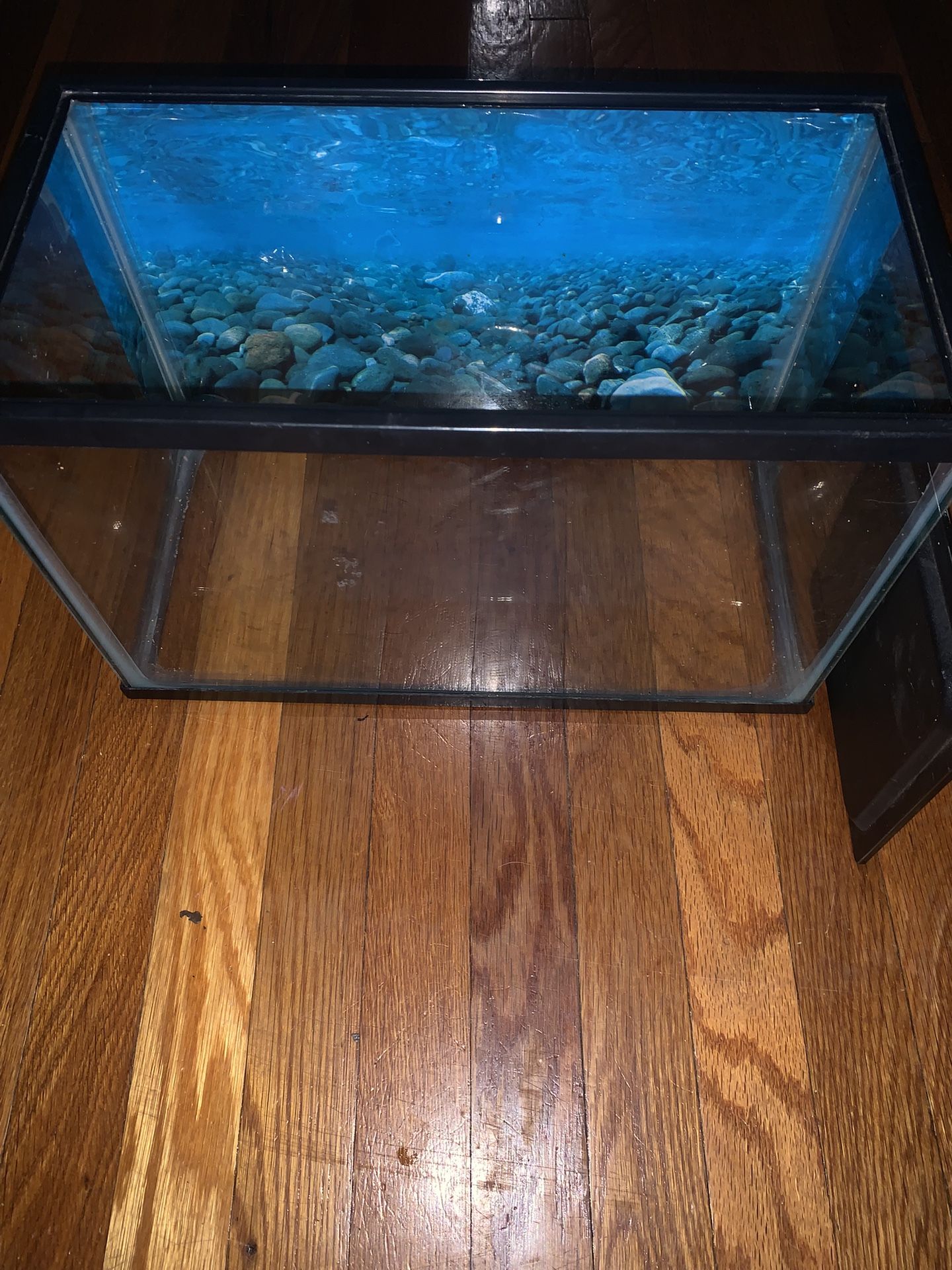 20 Gallon Reptile Tank With Lots Of Items
