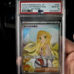 Lillie’s Determination SIR Japanese Mega Brave