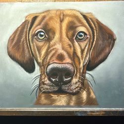 Dog Portrait Done With Pastel Pencils Selling For $50