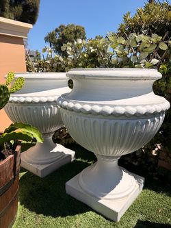 2 Maseteros blancos