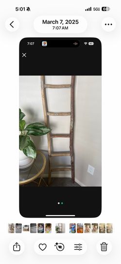 Beautiful eucalyptus ladder!