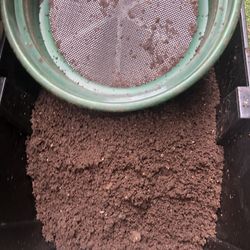 Red Wiggler Composting Worms Fresh Castings 